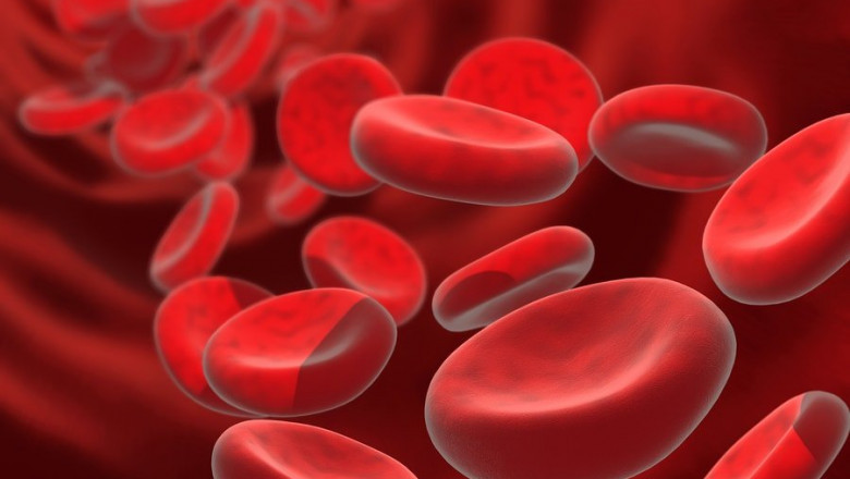 Blood Conversation System Market Insights 2022, Global Analysis and Forecast to 2030