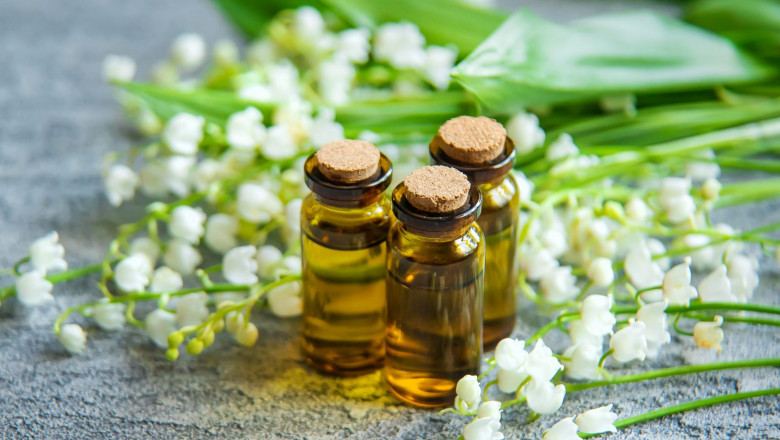 Flavor and Fragrance Market 2022 Trends, Share & Forecast Report to 2028