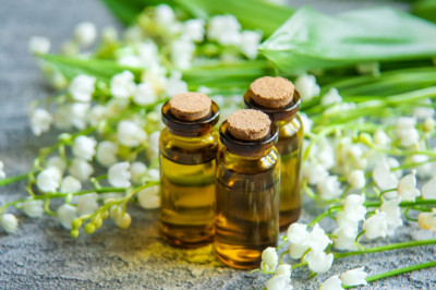Flavor and Fragrance Market 2022 Trends, Share & Forecast Report to 2028