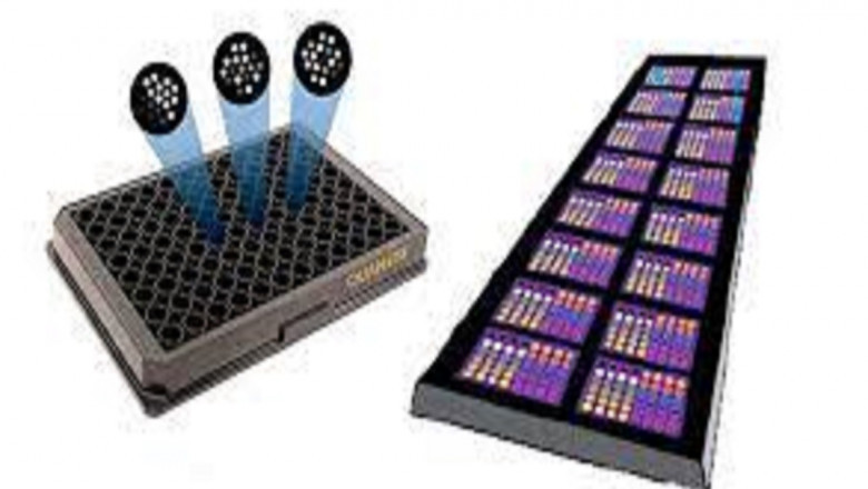 Global Multiplex Assays Market Report, Latest Trends, Industry Opportunity & Forecast to 2028