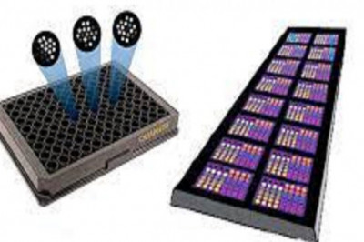 Global Multiplex Assays Market Report, Latest Trends, Industry Opportunity & Forecast to 2028