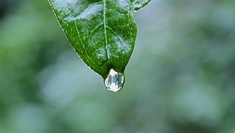 how to put google adsense on your blog