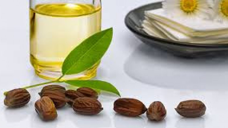 Jojoba Oil Market Insight | Outlook | Growth Analysis Report 2022-2028