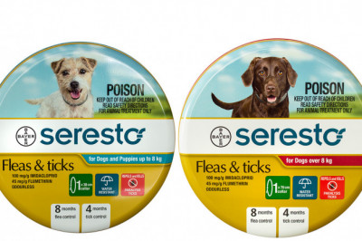SERESTO Collar for Dogs Treat and Prevent from Flea and Tick