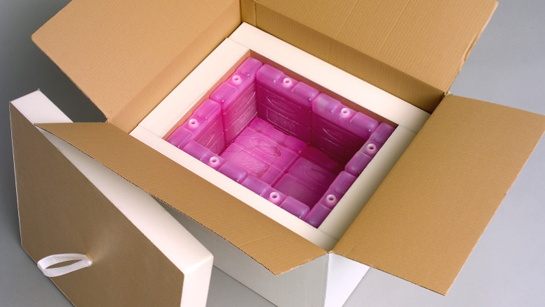 Temperature Controlled Packaging Solution for Pharmaceutical Market : Things to Focus on to Ensure Long-term Success up to 2031