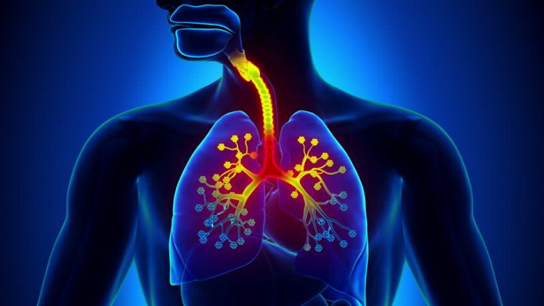 Weakened Respiratory Systems- Unani Medicine For Protect The Lungs?