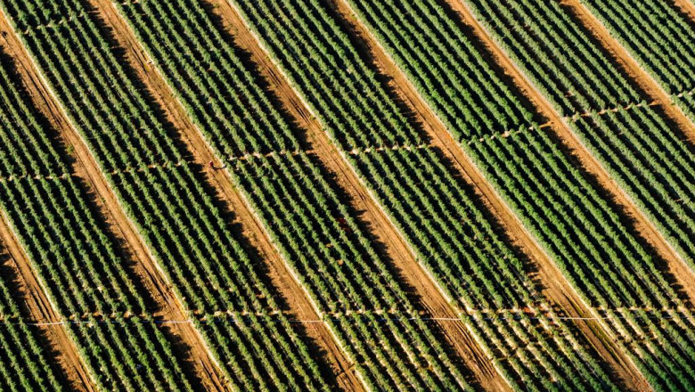 air purifiers a good allergen free home