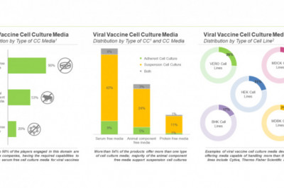 Viral Vaccine Cell Culture Media: Overall Market Landscape