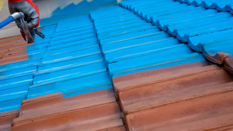 Why You Should Paint Your Roof To Boost Your Home Sale Value?