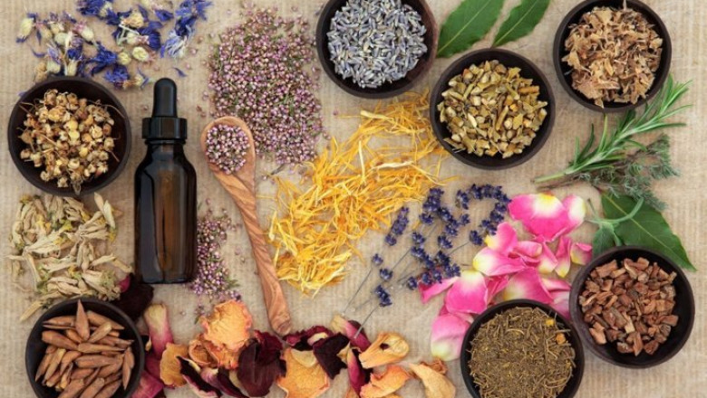 Ayurveda kidney treatment