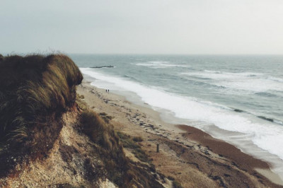 book summary mind quite business