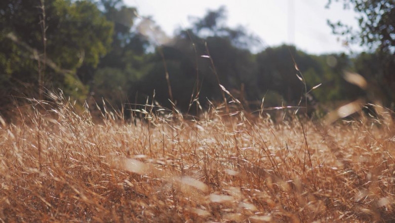 just how to produce a seo approach for 2022