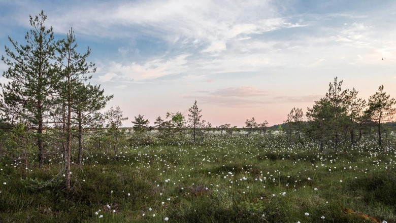 real estate investing the wonder of home depot and also lowes