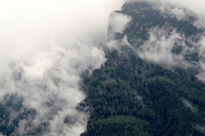 recent developments law aboriginal law