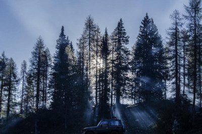 the greatest developments in profit singularity review we have seen this year