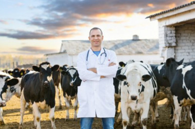 Why choosing the right equine recruitment agency is important