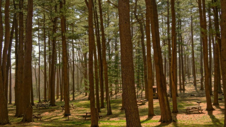 cpr training manikins at finest cost in india