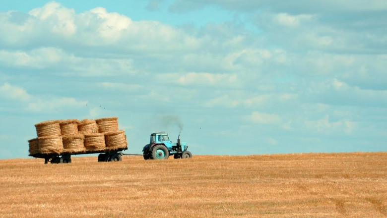 whats holding back the easy meals to cook for dinner industry