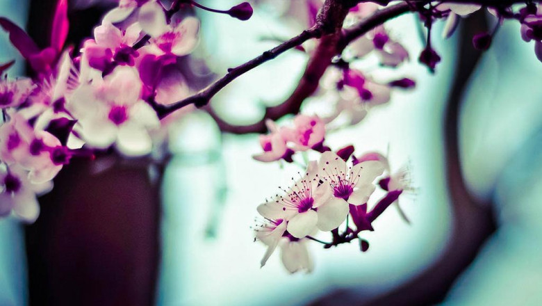 5 reallife lessons about hintere beine trainieren