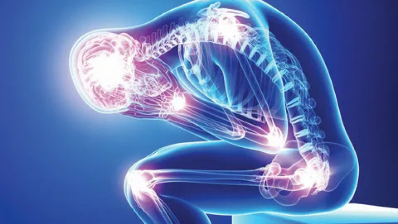 AntiInflammatoryMedicine - Herbal Medicine For Inflammation ?