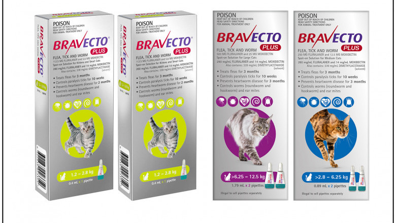 BRAVECTO PLUS 2 Doses for Cats Heartworm Flea and Tick Prevention