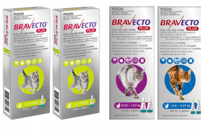 BRAVECTO PLUS 2 Doses for Cats Heartworm Flea and Tick Prevention