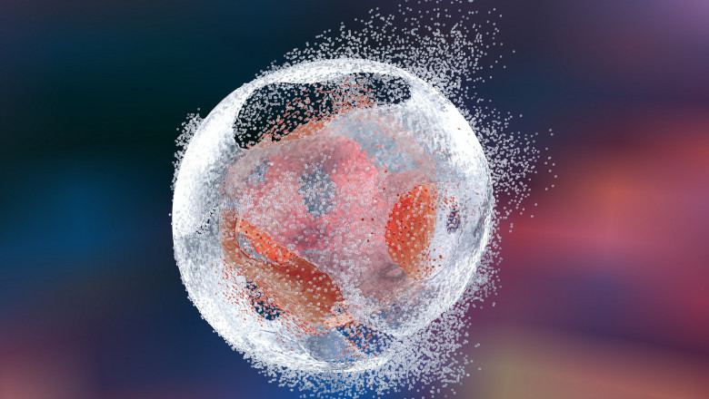 Cell Lysis Is a Technique Used in Laboratories to Break Open Cells and Purify or Examine Their Contents