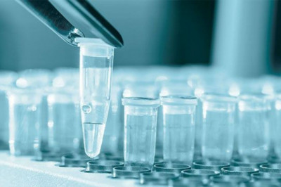 Global QPCR Market Report, Latest Trends, Industry Opportunity & Forecast to 2028
