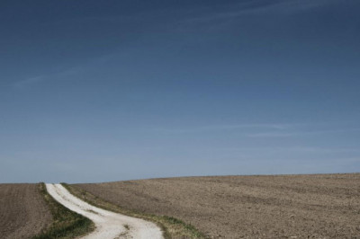 how much forage does your horse want to remain warm this winter