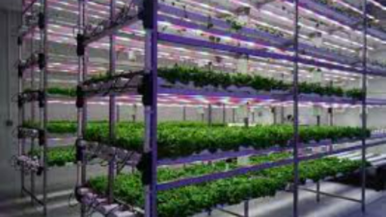 Plant Growth Chambers Market Scenario Analysis, Trends, Drivers, Leading Players, and Impact Analysis Report by 2028