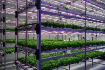 Plant Growth Chambers Market Scenario Analysis, Trends, Drivers, Leading Players, and Impact Analysis Report by 2028