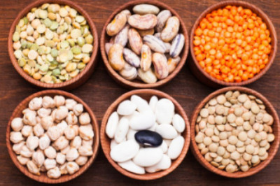 Protein Ingredients Market In-depth Analysis of Share, Size and Future Opportunity till End of 2028