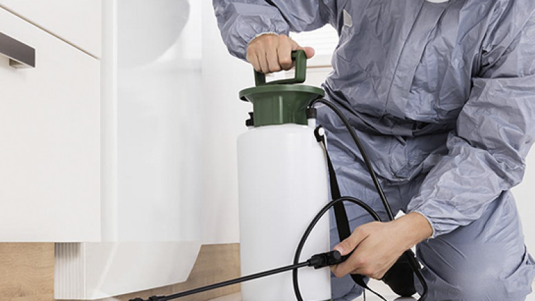 Quick and Effective Pest Control Services London