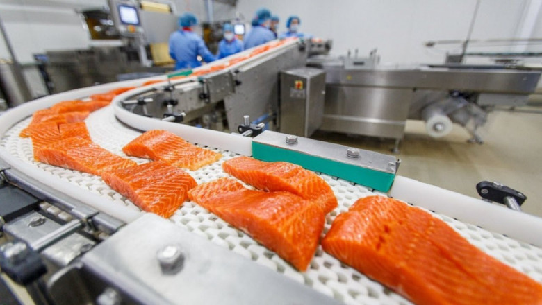 Seafood Processing Machine Market Size, Share, Growth, Opportunities and Global Forecast to 2028
