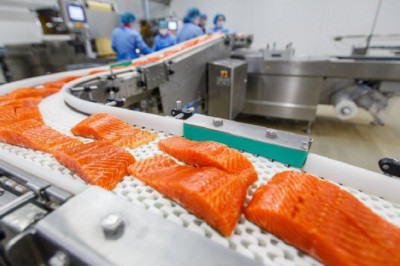 Seafood Processing Machine Market Size, Share, Growth, Opportunities and Global Forecast to 2028