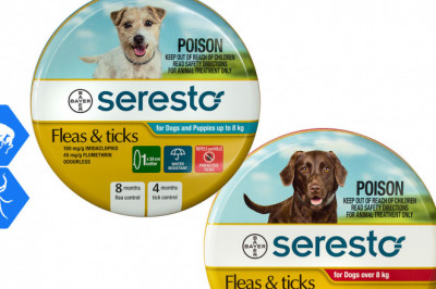 SERESTO Flea and Tick Collar for Dogs 1 Piece