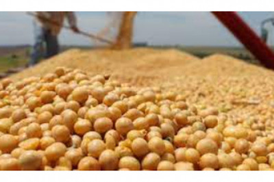 Soybean Derivatives Market Research Report: Size & Share, Key Players, Growth Strategies till 2028