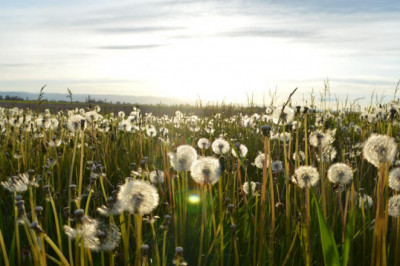 20 questions you should always ask about dangjinculjangmasaji before buying it