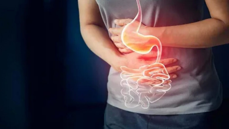 Best Medicine For Indigestion - Herbal Medicine For Blood Clean ?