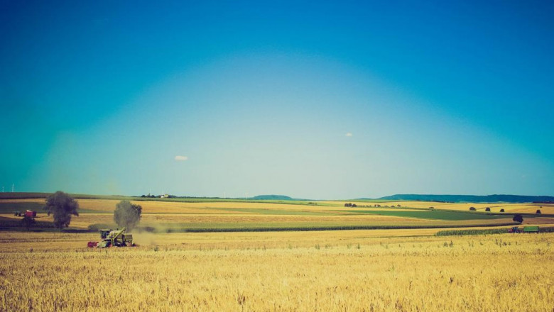 improve indoor air quality for free