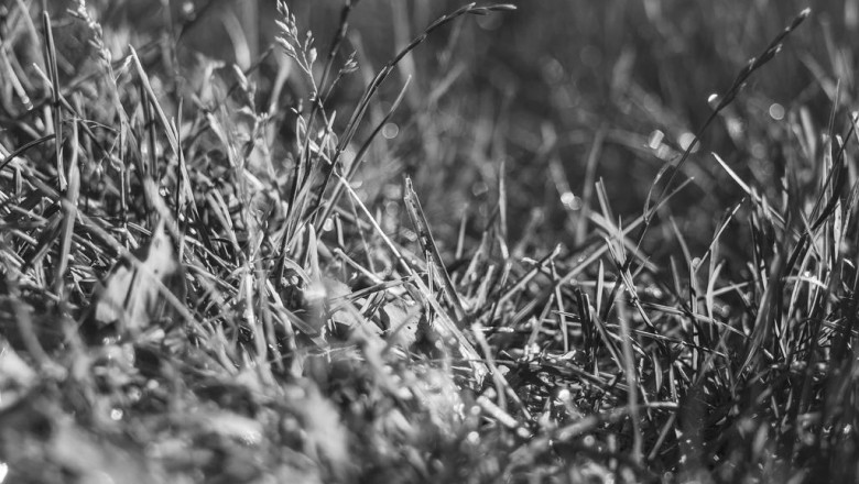 the most underrated companies to follow in the chiller van for rent industry