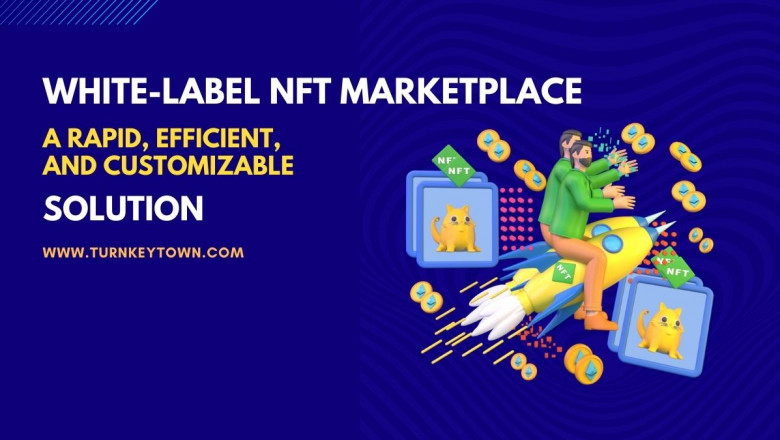 Venture Into The Lucrative NFT World With White label NFT Marketplace Development