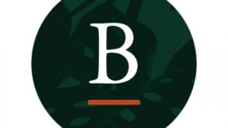 Best Natural Lip Balm Online | Bali Balm