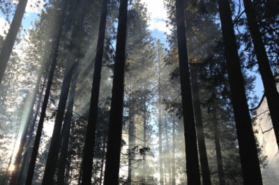 ethereum eth 20 mo duong kinh trang cho mot tuong lai phi trieu tap vietnam smarthub logistics