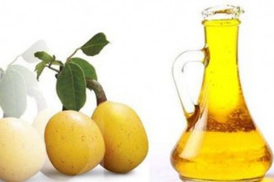 Global Marula Oil Market Size, Estimation, Dynamics and Forecast, 2022-2028