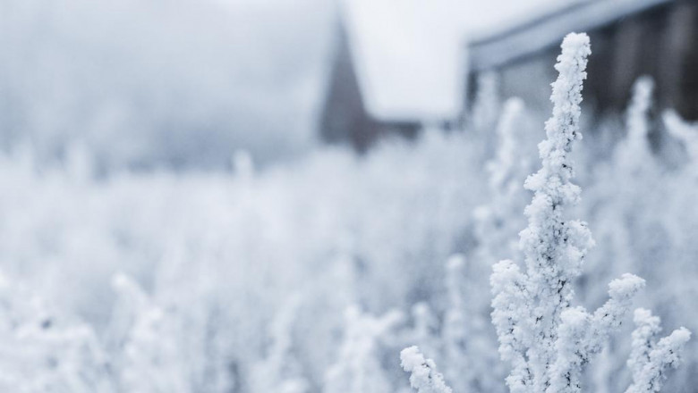 how to make your santa barbara website designer work for you