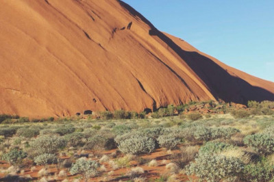 septic tank and drainage cleaning service bulk water delivery