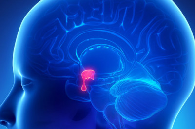 Trends, Share, Size, Growth, Opportunity and Forecast for the Global Acromegaly Treatment Market 2022-2028