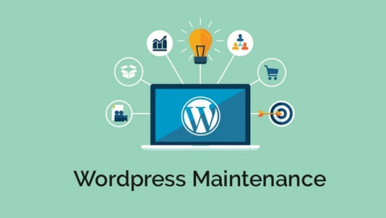 Why hiring WordPress Developer Auckland is best for your futuristic business?