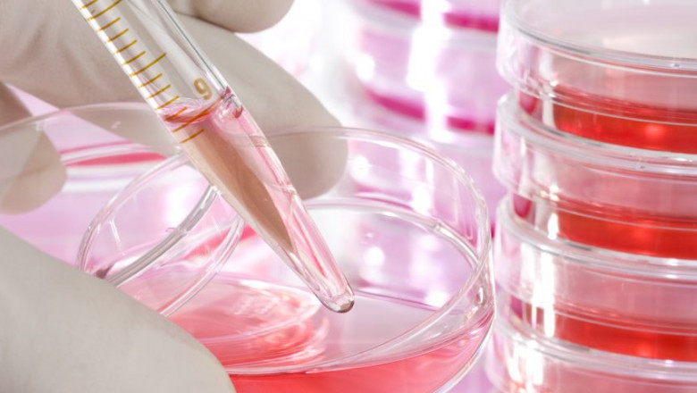 A media suitable for the production of human and veterinary vaccines; Based on cell culture Media For Vaccine